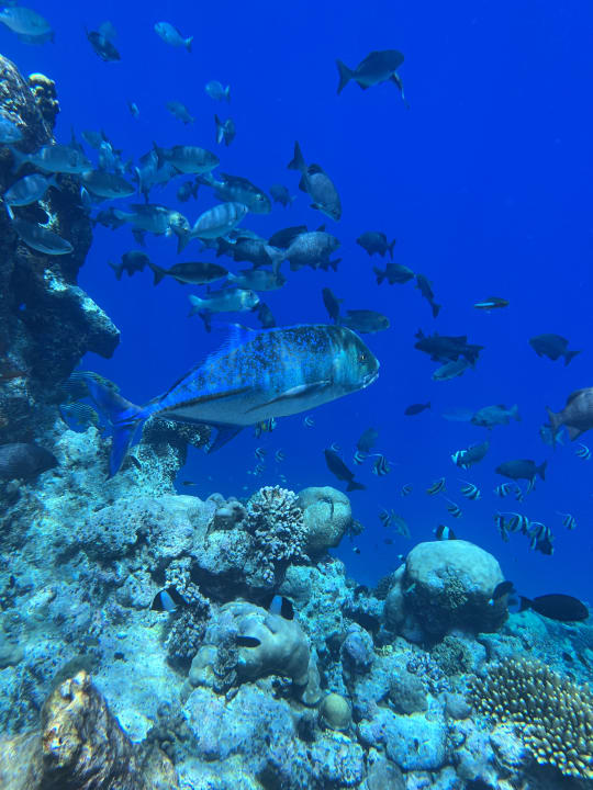 Sport & Freizeit Filitheyo Island Resort