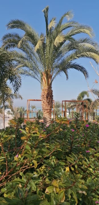 Gartennlage Hilton Hurghada Plaza