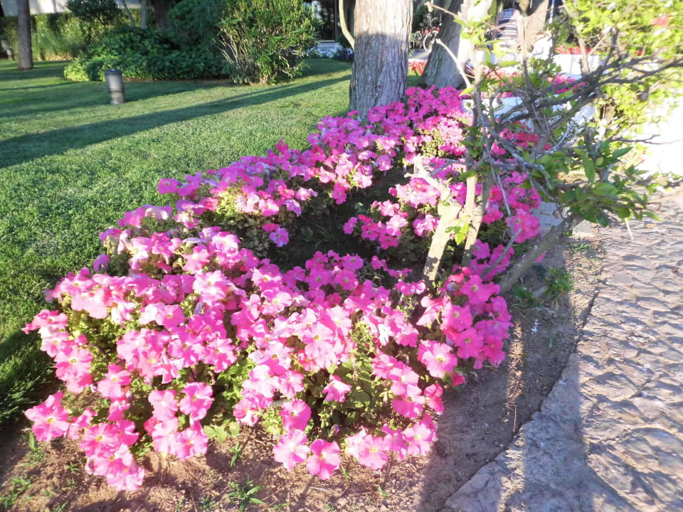 Eingang Hipotels Bahia Grande