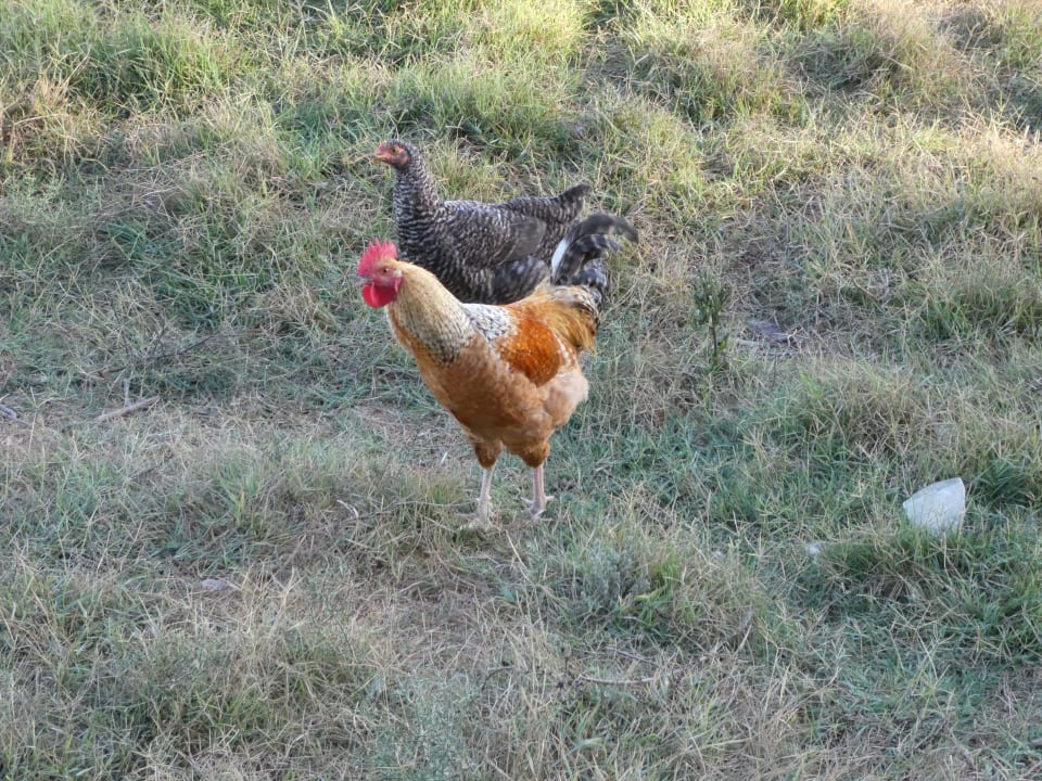 Sonstiges Hotel Esperia