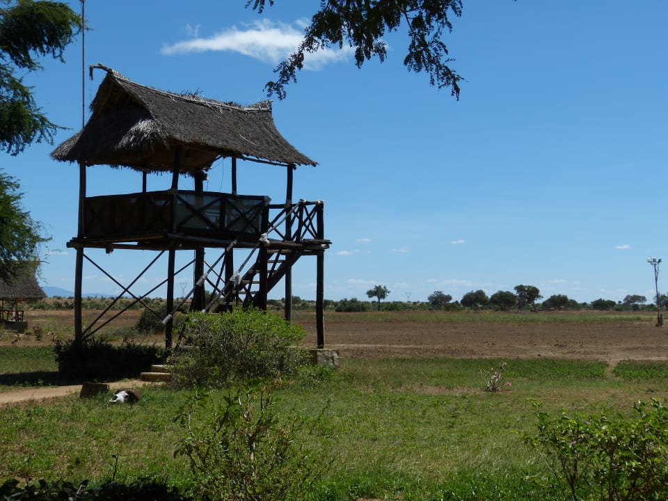 Gartenanlage Satao Camp