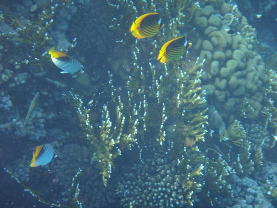 Strand Casa Mare Resort