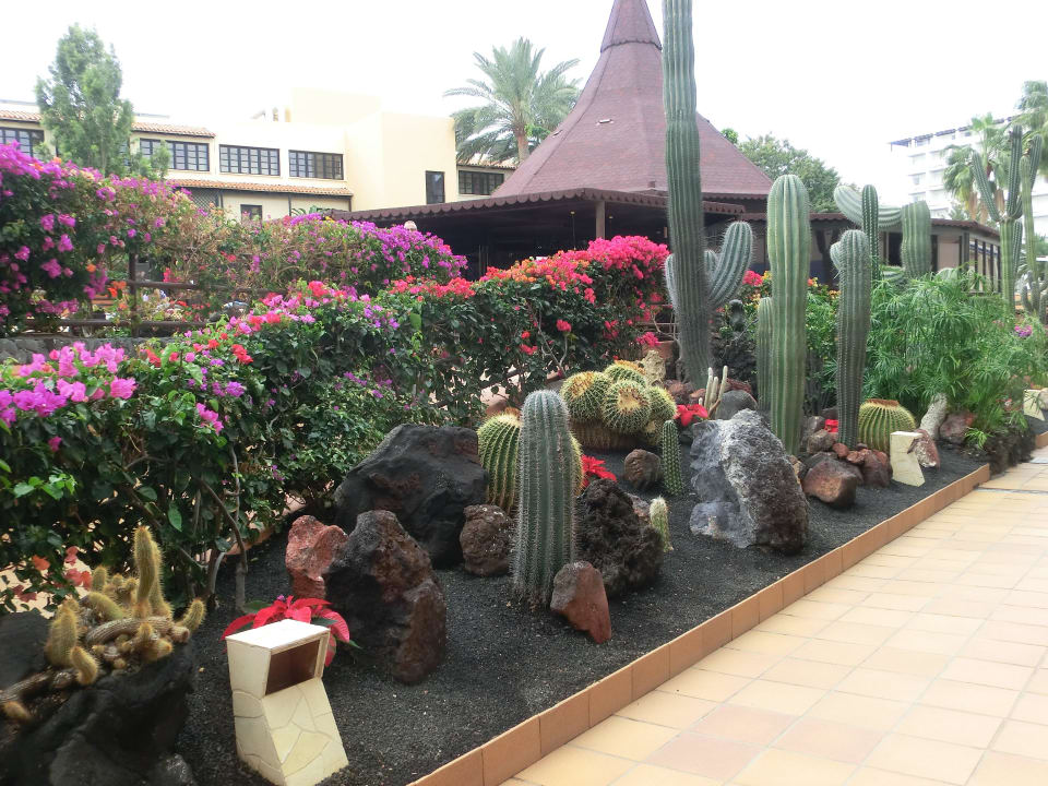 Sehr gepflegte Gartenanlage IFA Altamarena by Lopesan Hotels