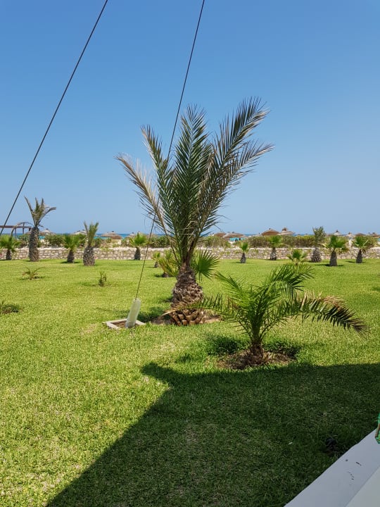 Gartenanlage Vincci Helios Beach