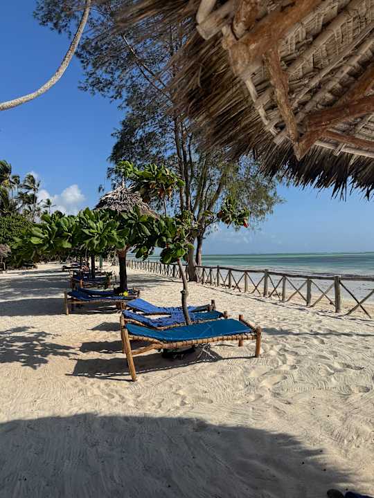 Strand Ocean Paradise Resort & Spa