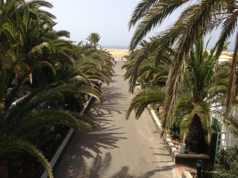 Acceso al mirador dunas Hotel Riu Palace Maspalomas Adults Only