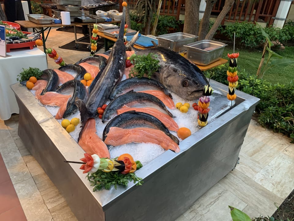 Gastro ROBINSON ÇAMYUVA