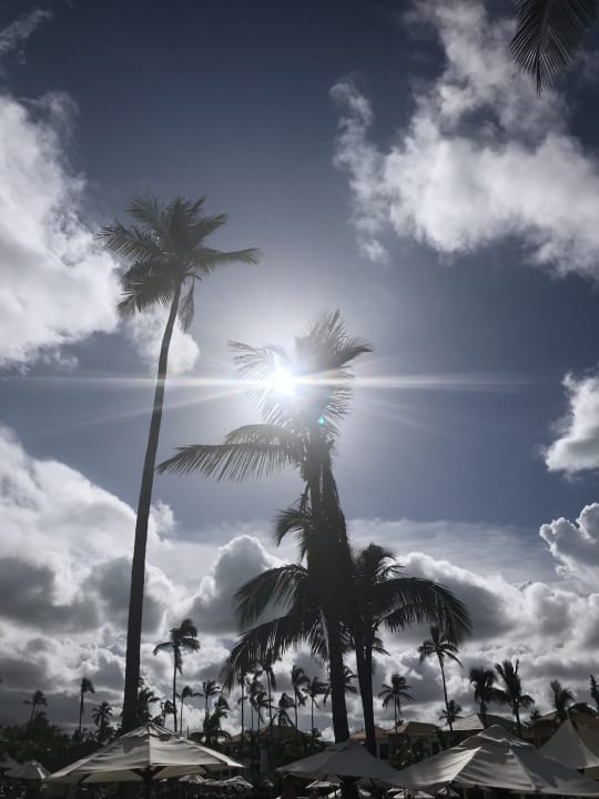 Pool Ocean Blue & Sand