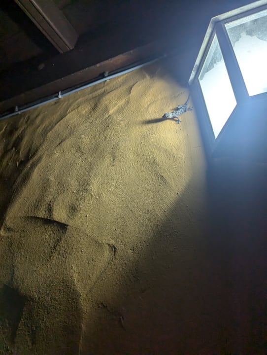 Außenansicht Finca Los Marantes