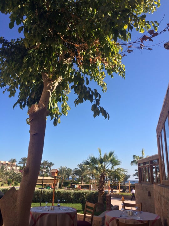 Mittagessen  Fort Arabesque Resort, Spa & Villas