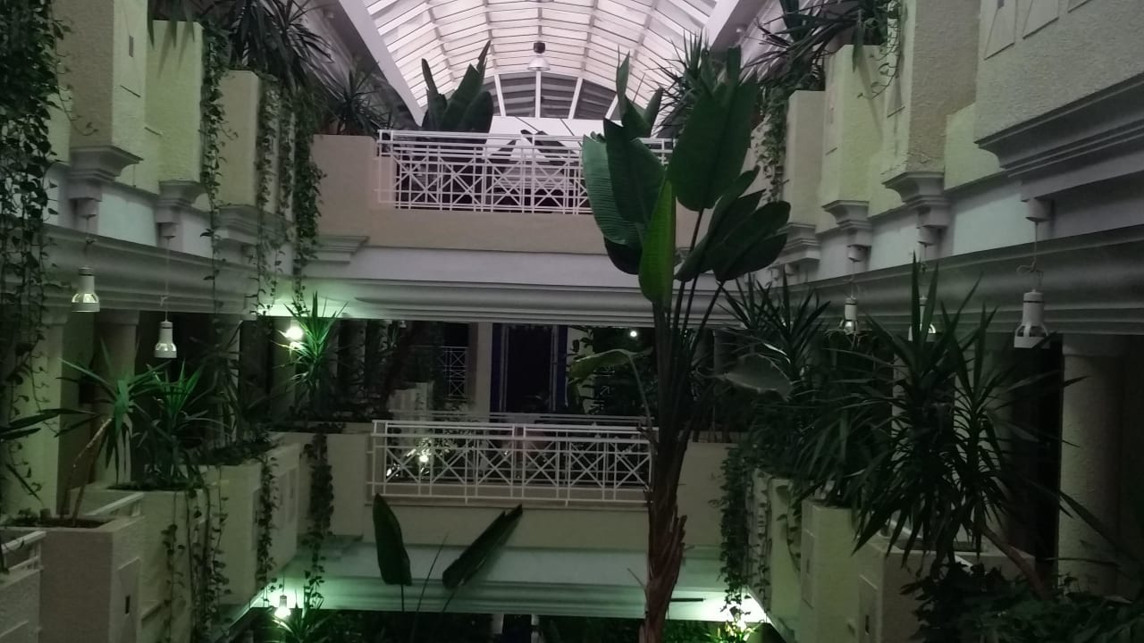 Gang zum Zimmer TUI MAGIC LIFE Africana