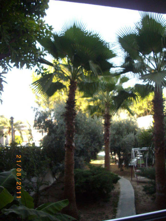 Ausblick vom Balkon Side Alegria Hotel & Spa - Adults only +16