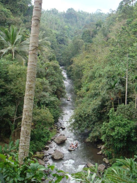 Ayunriverschlucht COMO Shambhala Estate