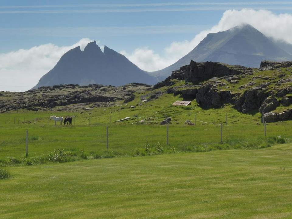 Ausblick Lón Guesthouse