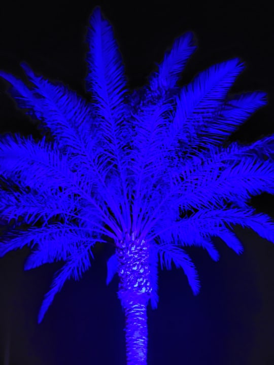 Gartenanlage Novotel Marsa Alam Beach Resort