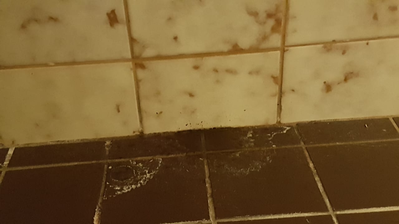 Zimmer Hotel BS-Ötscher