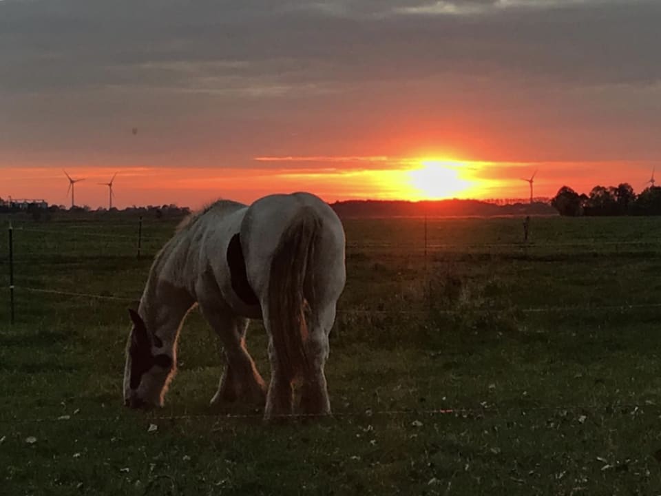 Sonstiges Ferienhof Limberg