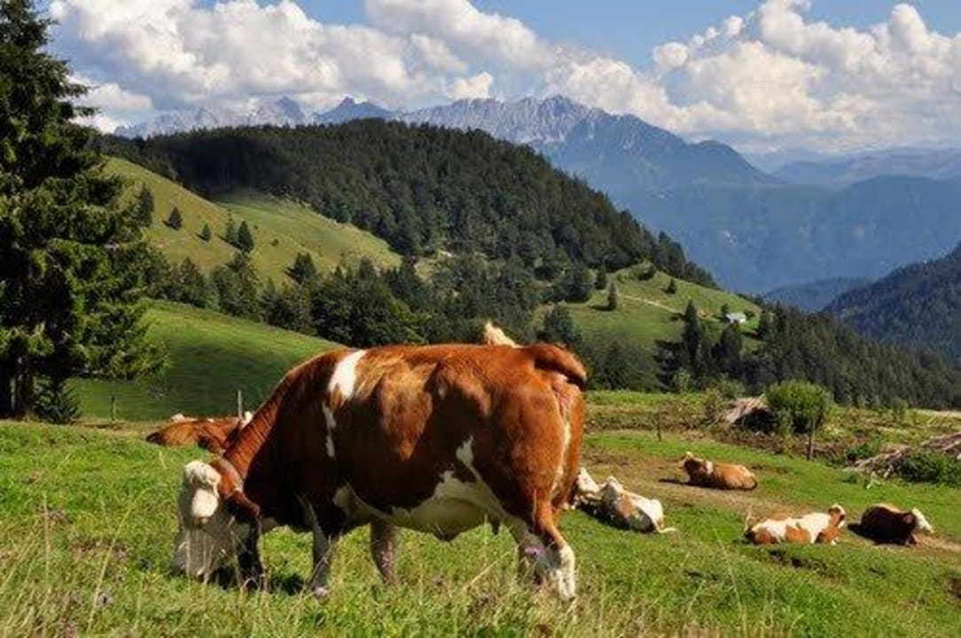 Eigene Landwirtschaft Hotel Keindl