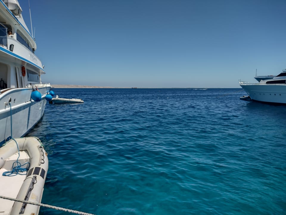 Sonstiges Pickalbatros Dana Beach Resort - Hurghada