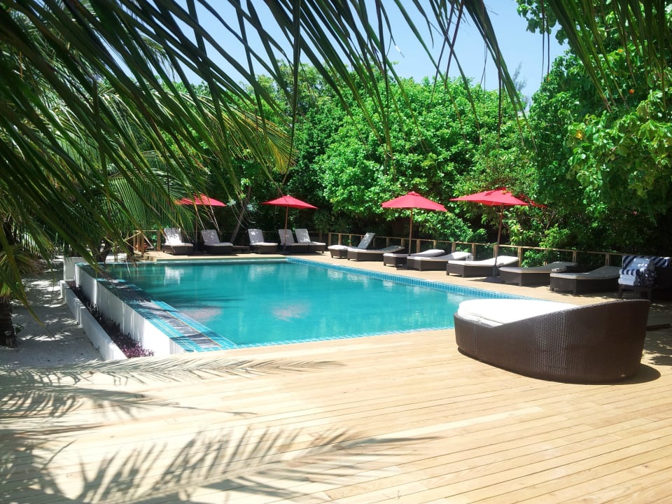 Schöner Poolbereich, Boden neu gemacht Eri Maldives