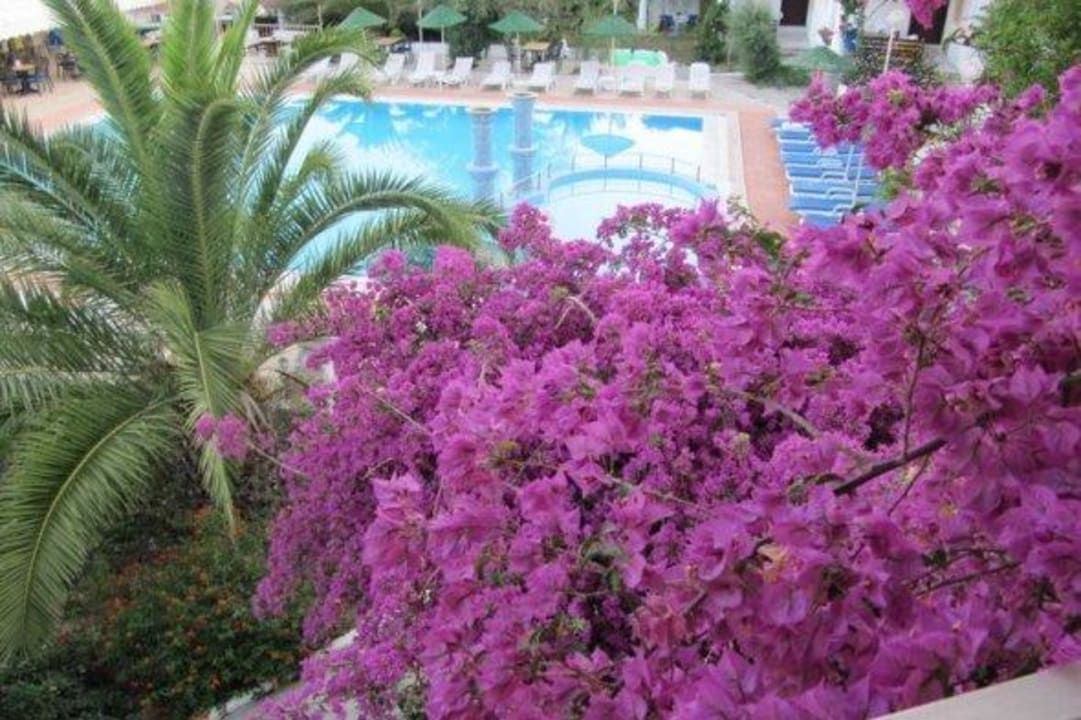 Balcony view Bitez Residence