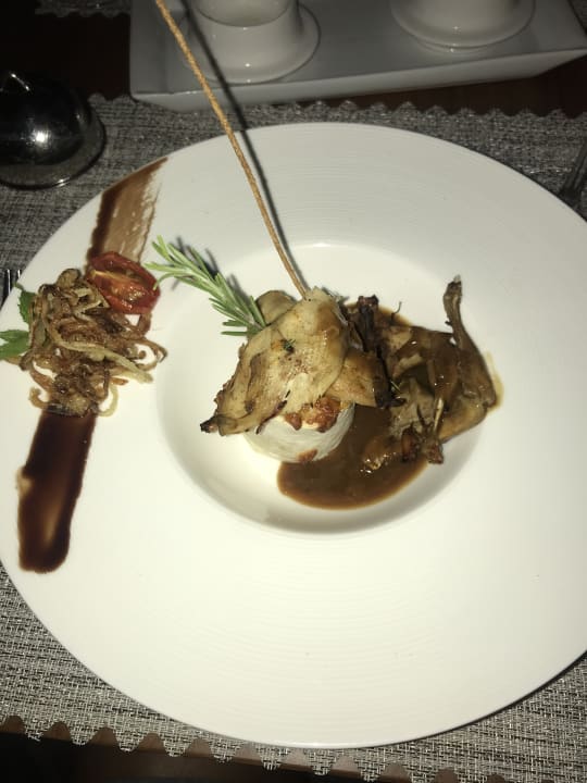 Gastro Acanthus Cennet Barut Collection