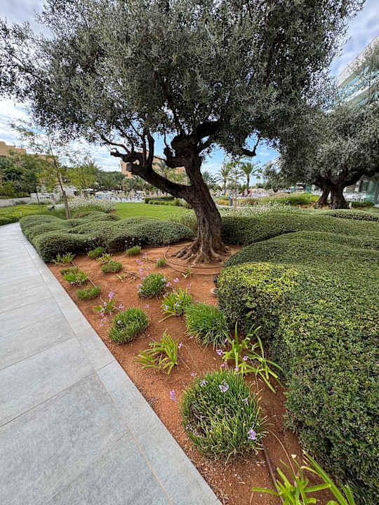 Gartenanlage Hipotels Gran Playa De Palma