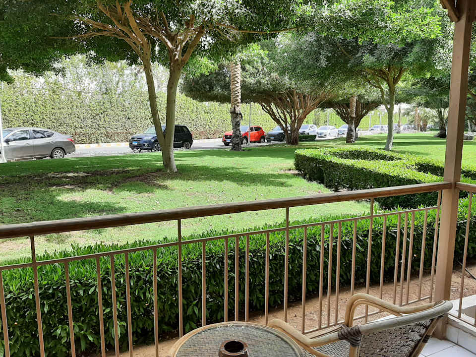 Gartenanlage Desert Rose