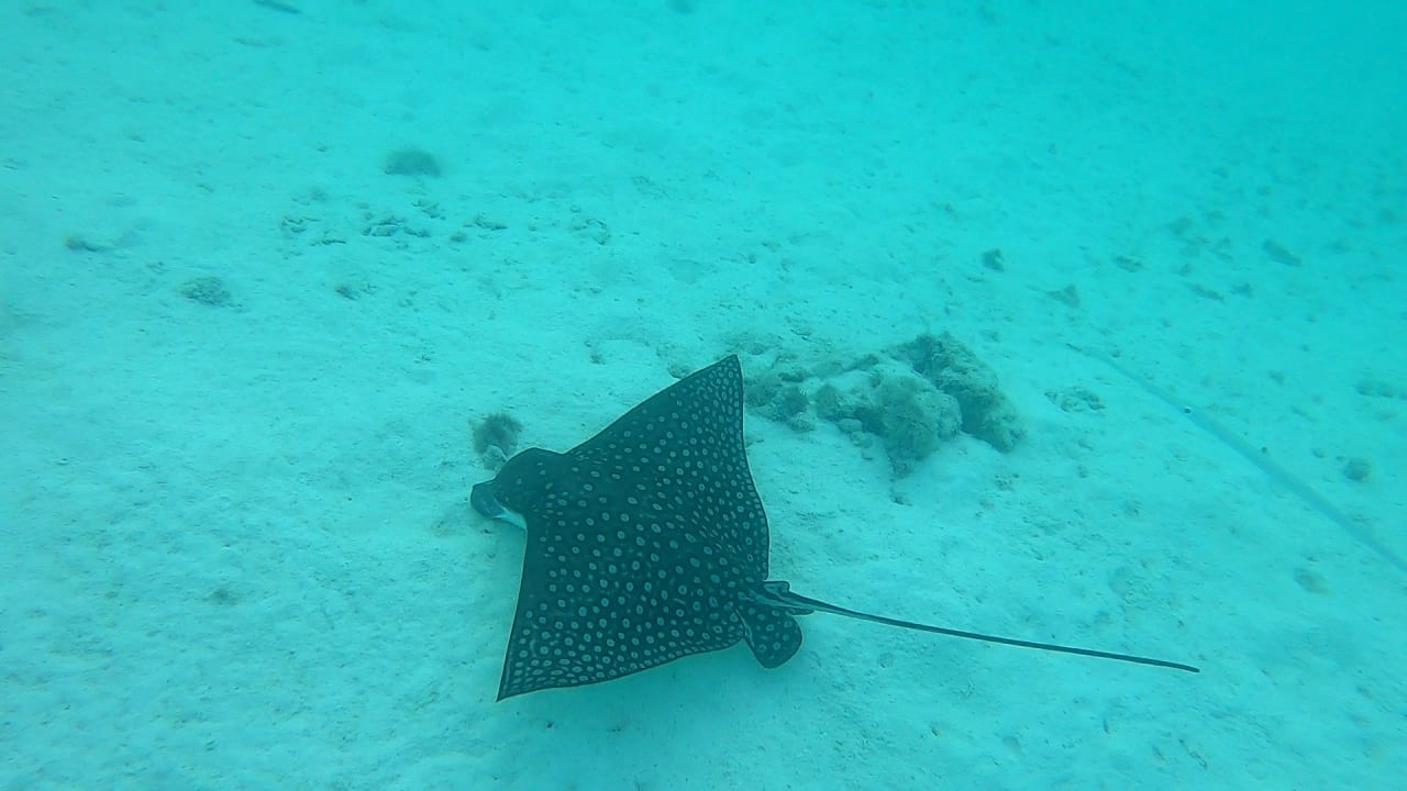 Sport & Freizeit Cinnamon Dhonveli Maldives