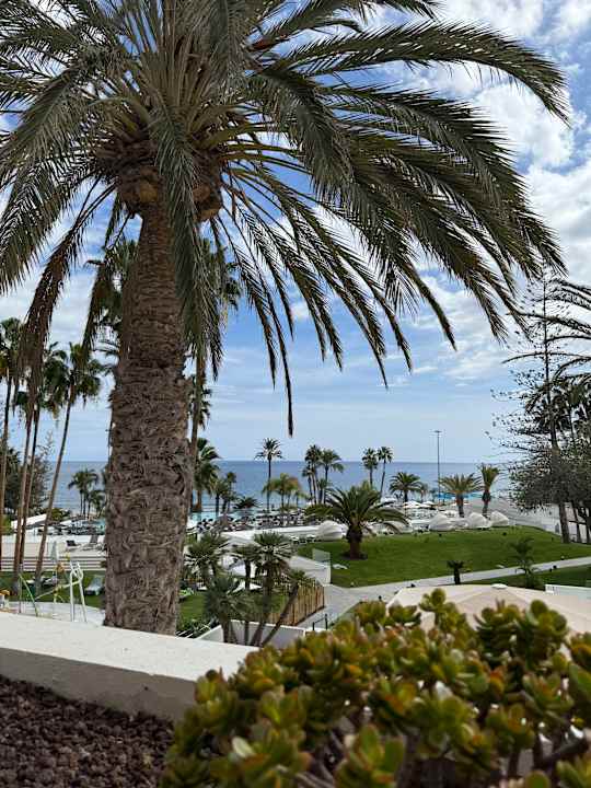 Gartenanlage Paradisus by Meliá Gran Canaria