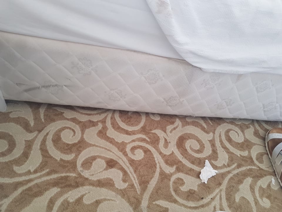 Zimmer Royal Arena Resort & Spa