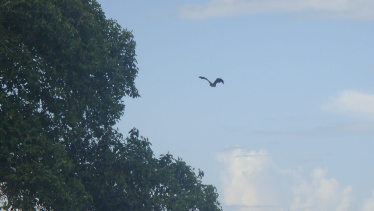 Hotel Embudu Village Embudu Village