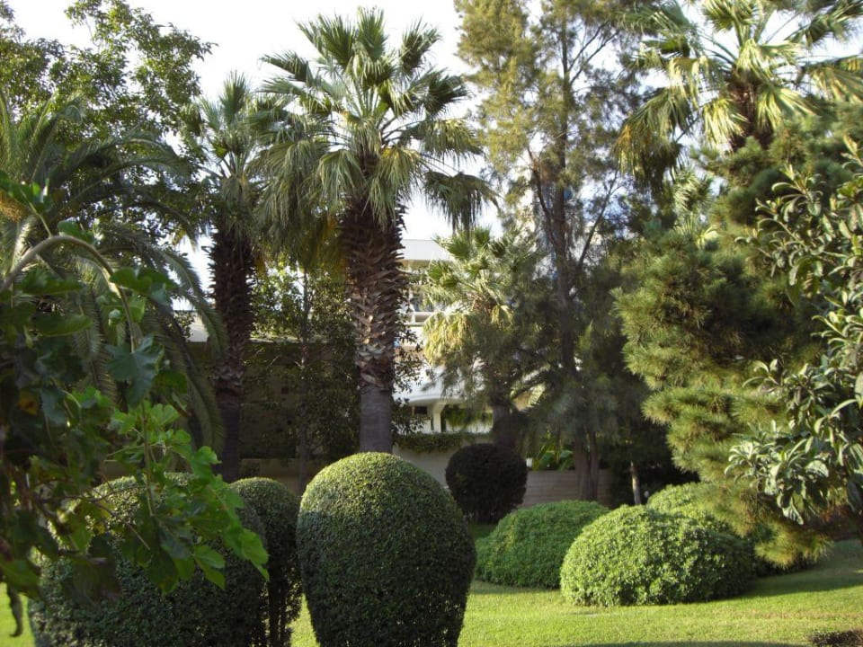 Garten Side Star Elegance