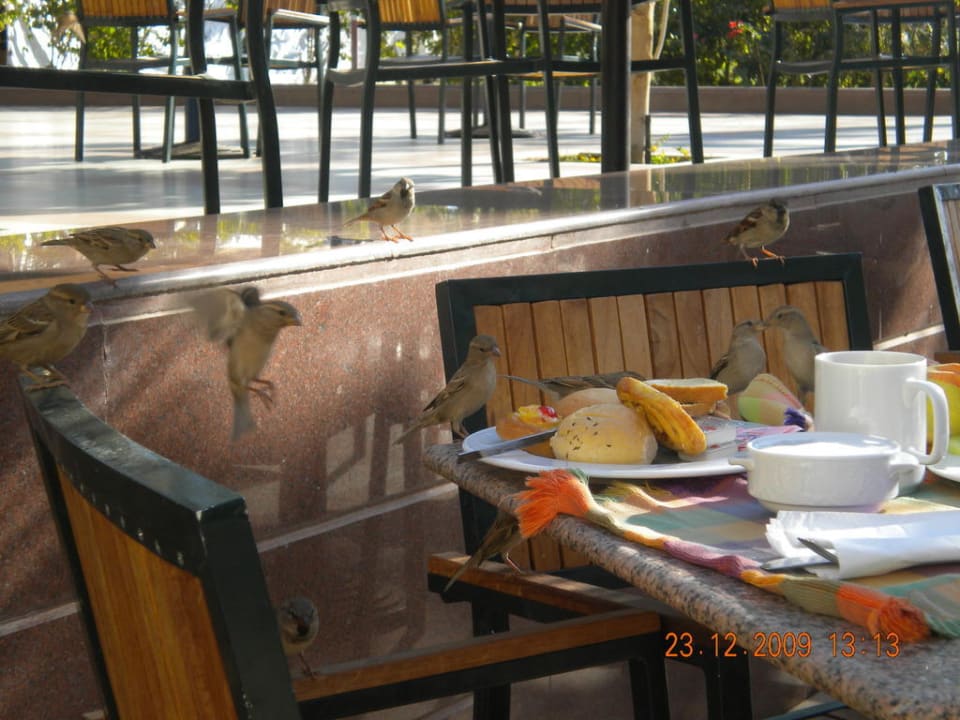 Hotel Three Corners Kiroseiz Xperience Kiroseiz Parkland Resort