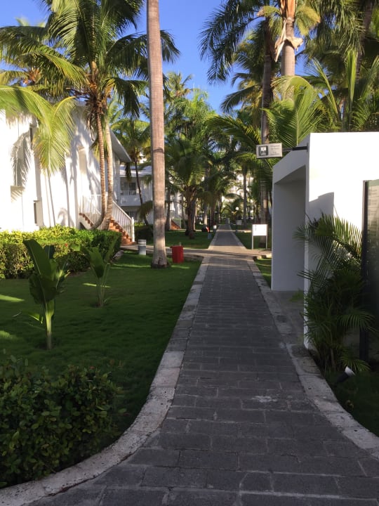 Gartenanlage Hotel Riu Bambu