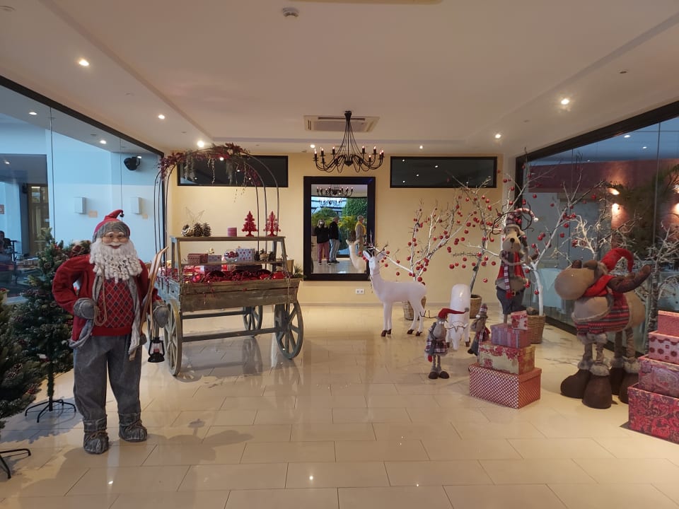 Gastro allsun App.-Hotel Albatros