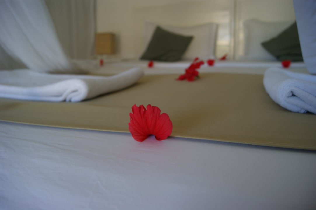 Zimmer Hotel Dhow Inn