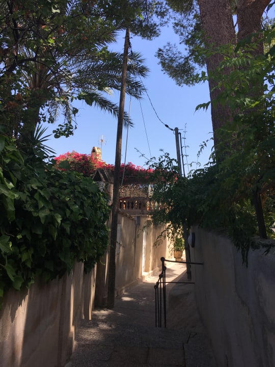 Gartenanlage FLOR los Almendros Hotel