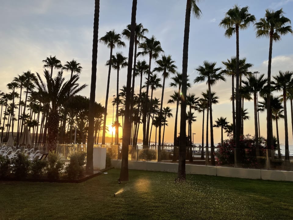 Gartenanlage Hipotels Mediterraneo Club