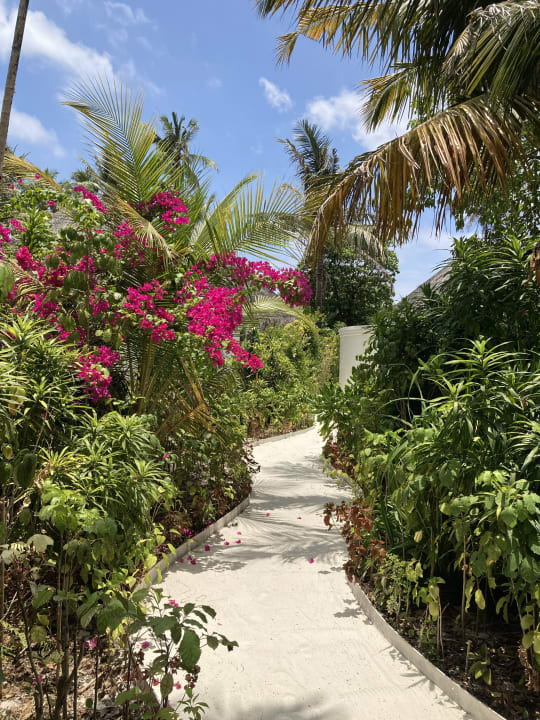 Gartenanlage Sun Siyam Iru Fushi