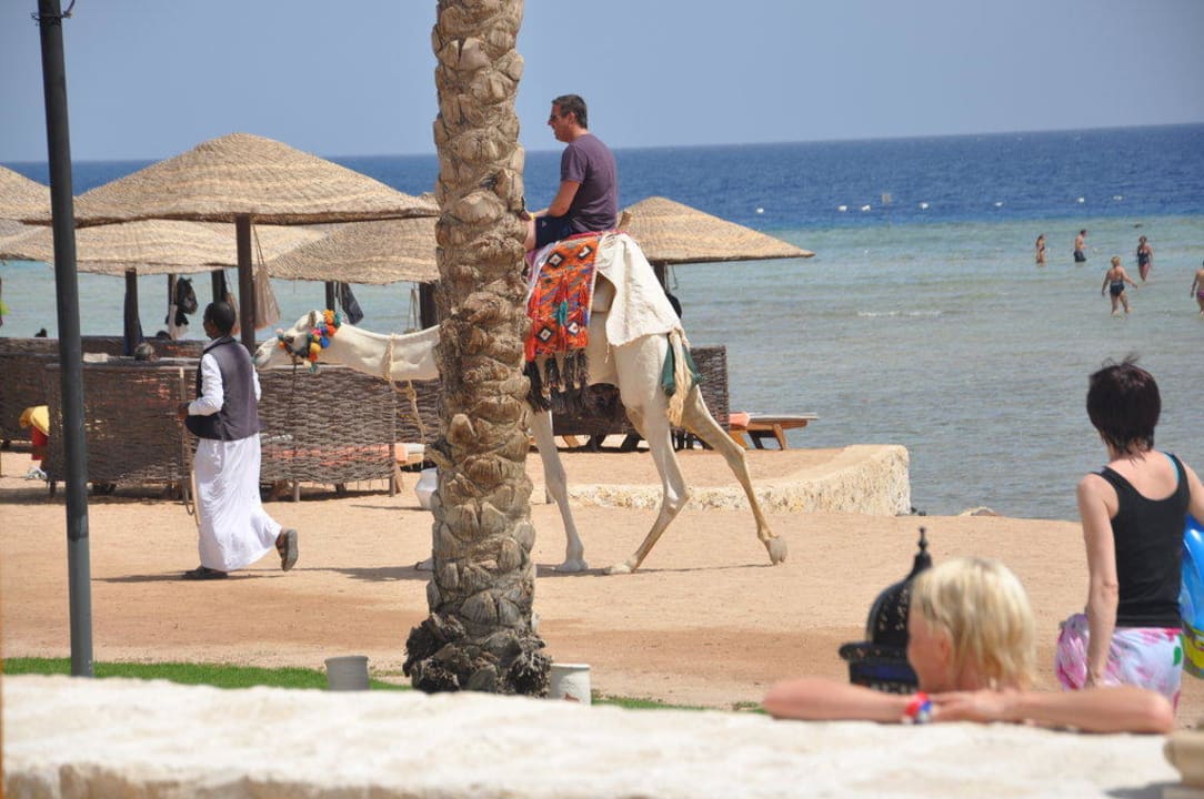 Spa-Strand Makadi Palace