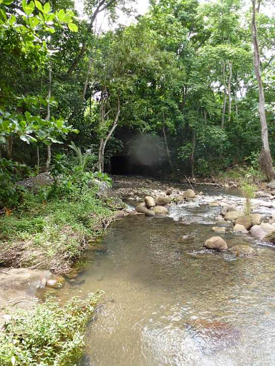 Hinter dem Hotel - Natur Hotel Sunset Bay Club