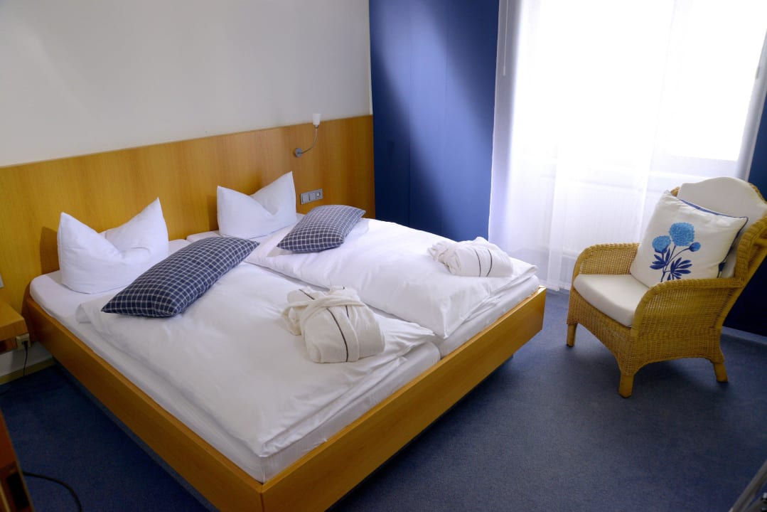 Pfingstnelke BELVEDERE - das Bio Hotel garni & SuiteHotel am Edersee