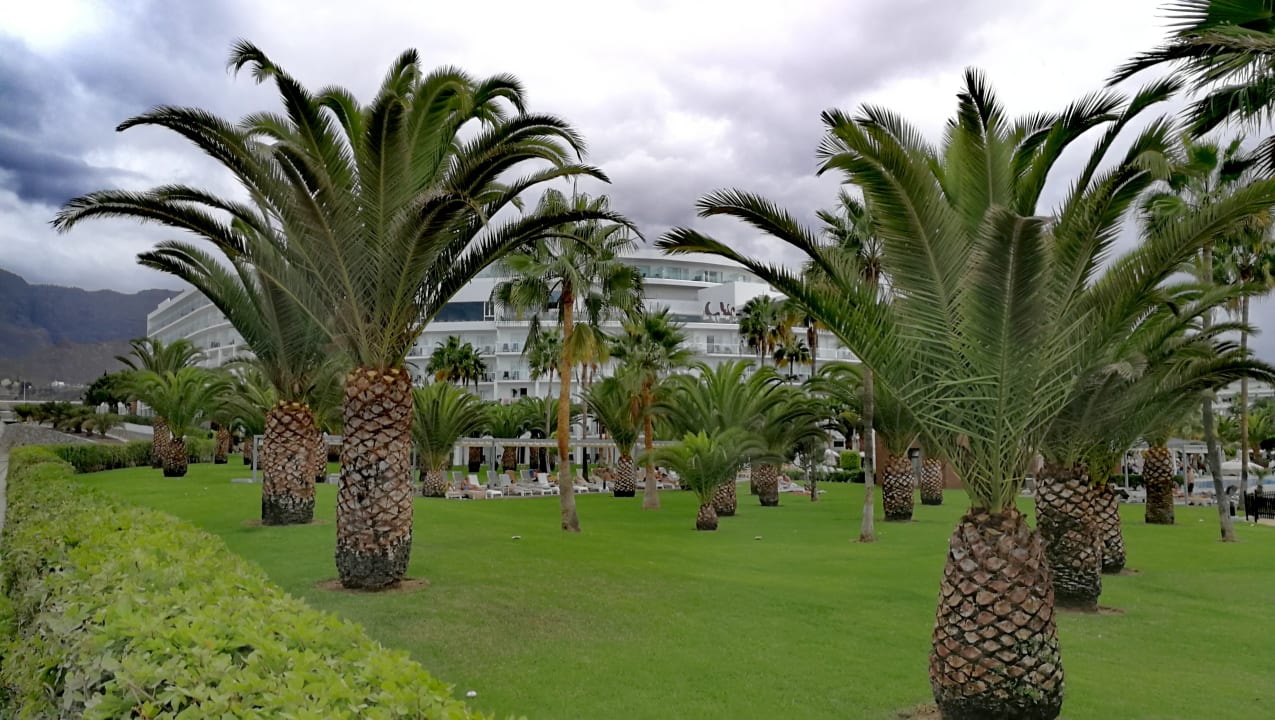 Gartenanlage Hotel Riu Palace Tenerife