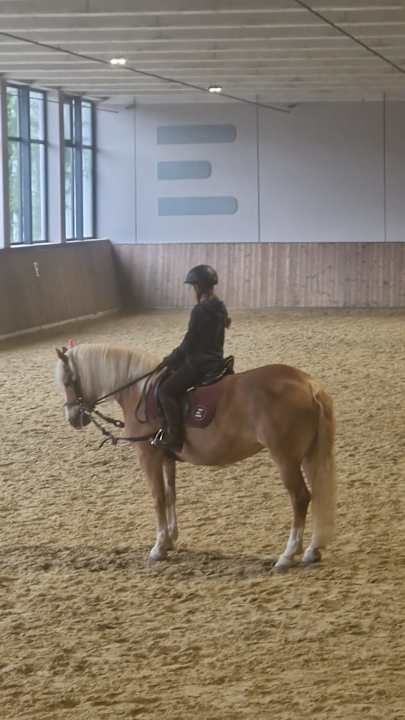 Sonstiges Ellmauhof - das Generationenresort