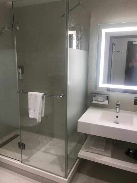 Zimmer Ibis Styles Geneve Mont Blanc