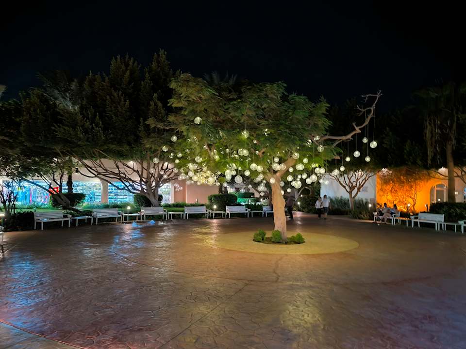 Gartenanlage Desert Rose