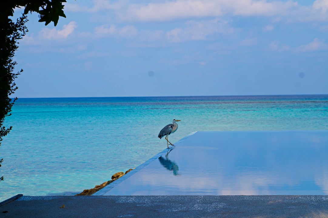 Ausblick Summer Island Maldives