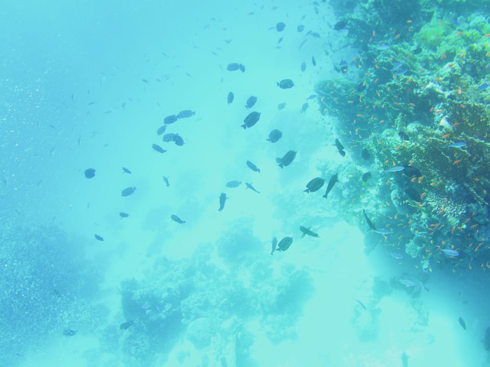 Strand Three Corners Happy Life Beach Resort