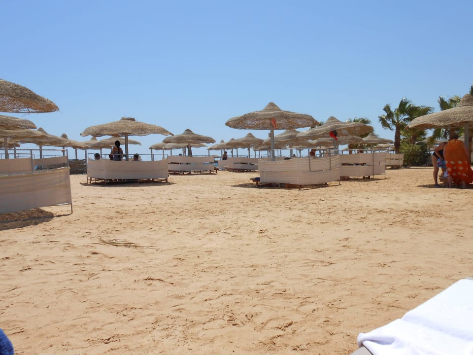 Strandliegen Amwaj Beach Club Abu Soma Resort